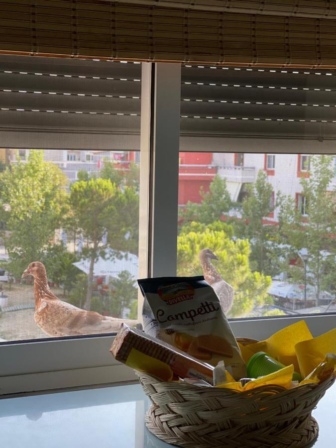 Sunkissed Centre Apartment فلورا المظهر الخارجي الصورة